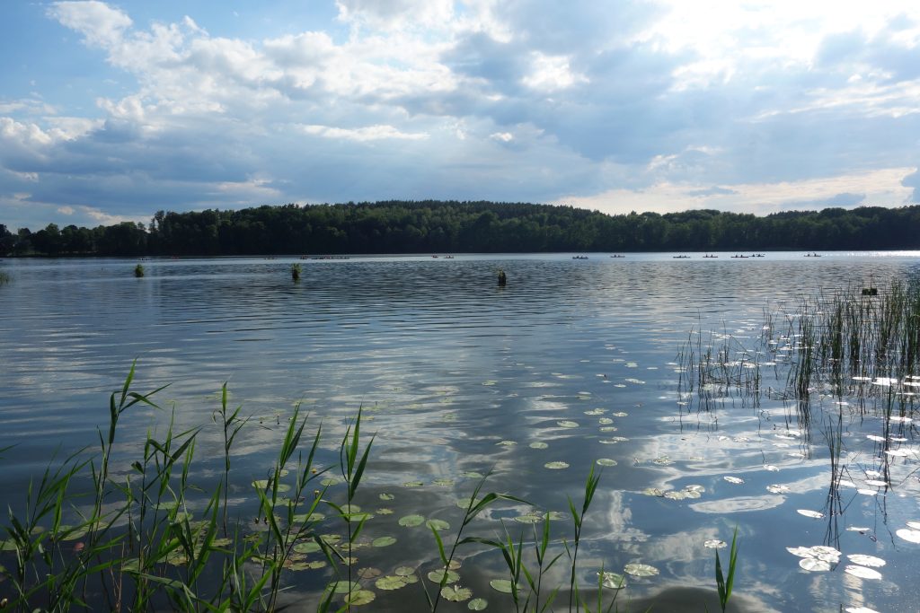 Kajaki na jeziorze Goszcza na Pojezierzu Łagowskim